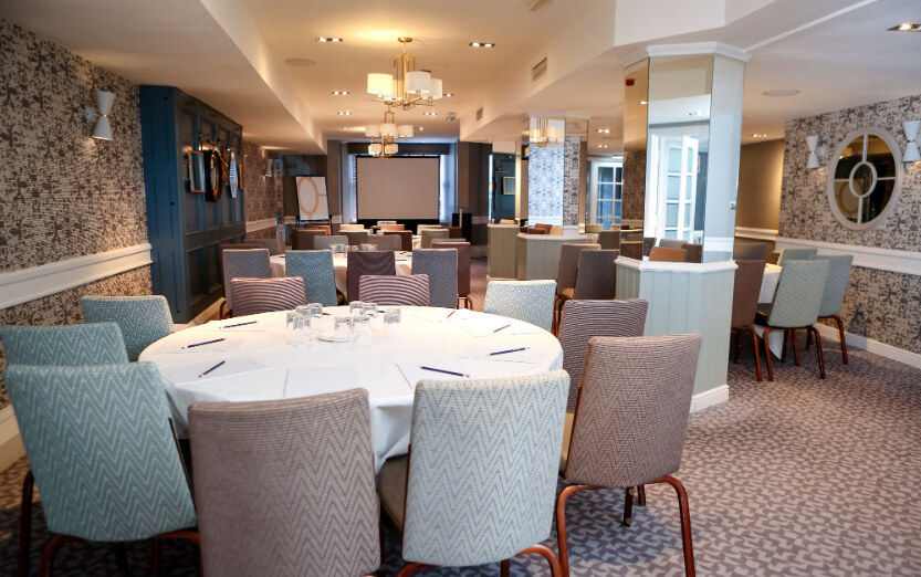 F Cardoon Suite.jpg