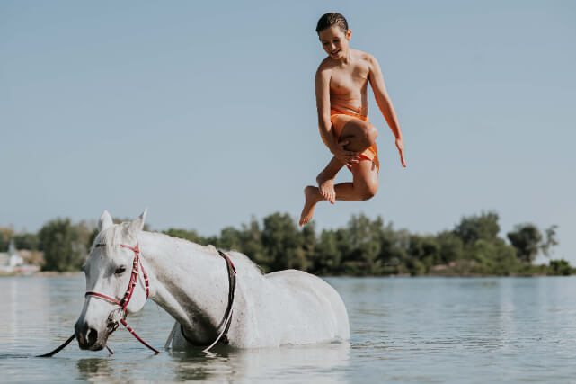 JA_BEACH_RESORT_HORSES_0356.JPG