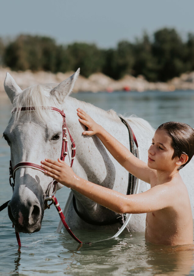 JA_BEACH_RESORT_HORSES_0362.JPG