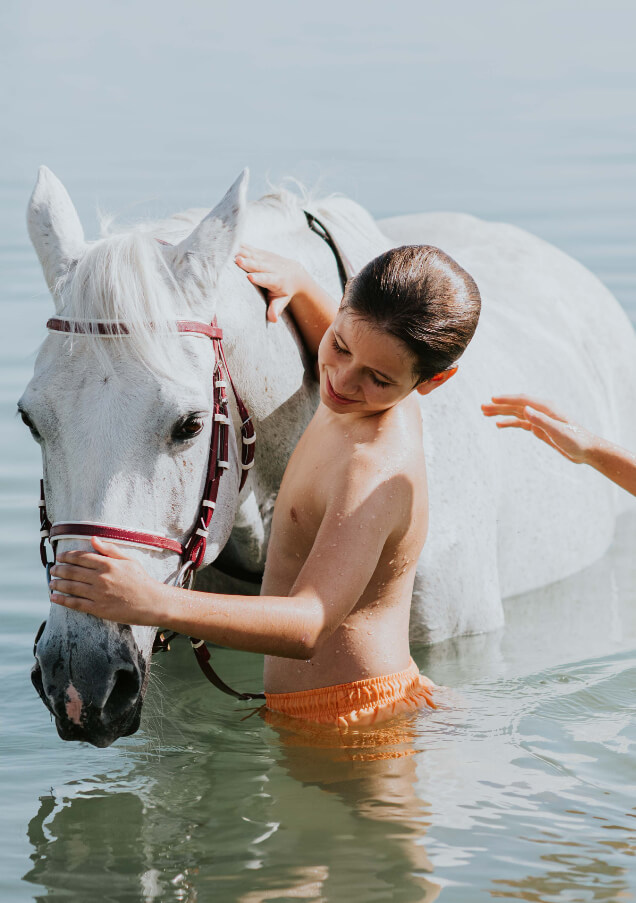 JA_BEACH_RESORT_HORSES_0425.JPG