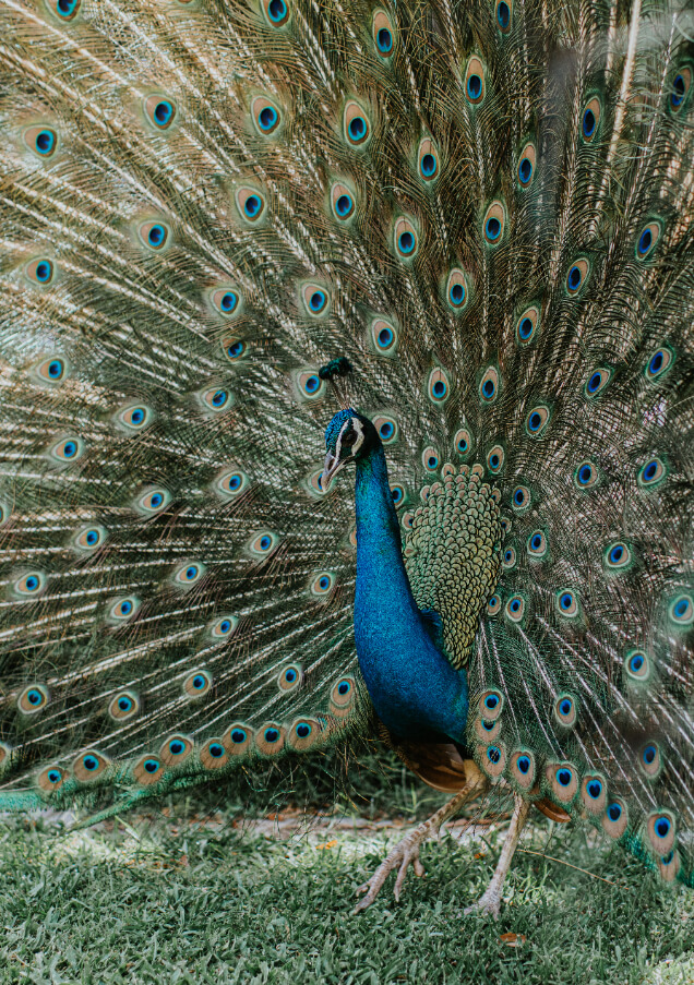 JA_BEACH_RESORT_LOCATION_TEXTURES_0413-Edit.jpg