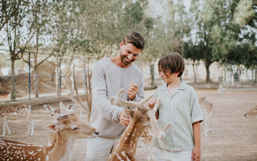 JA_HATTA_FORT_ANIMAL_SANCTUARY_0029.jpg