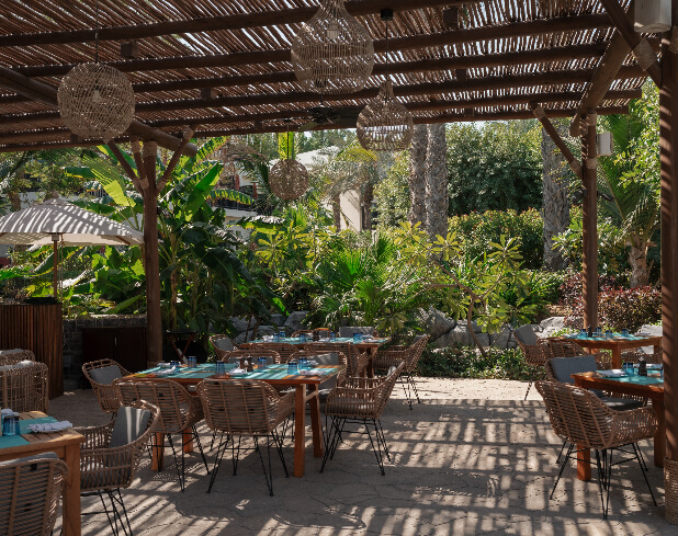 TAMR JA Palm Tree Court.jpg